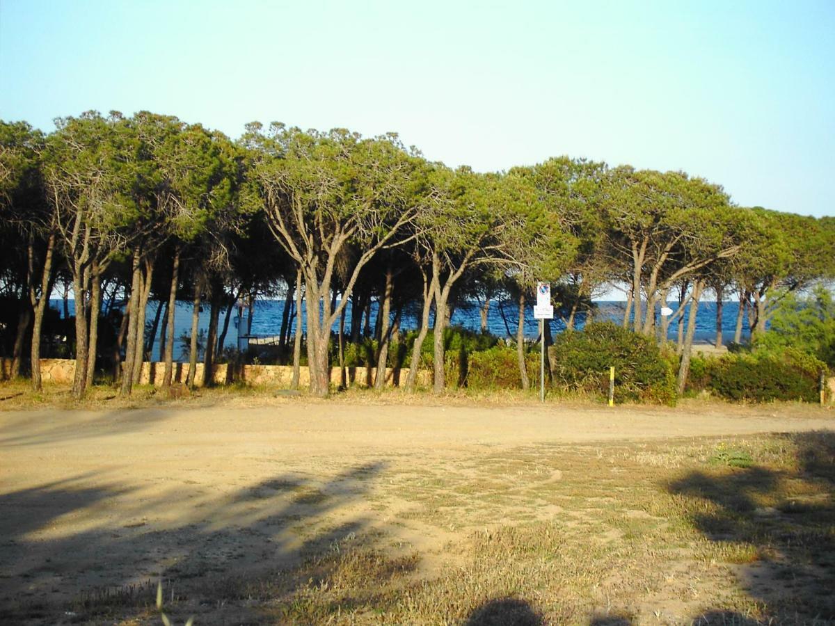La Cuppulata Apartment Budoni Exterior photo